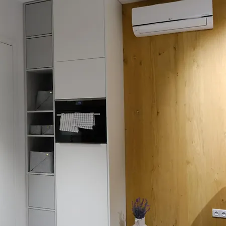 Apartmany U Lesa Dolni Morava Room photo