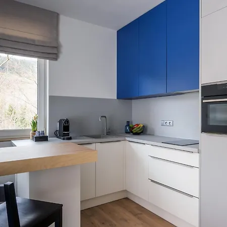 Apartmany U Lesa Dolni Morava Room photo