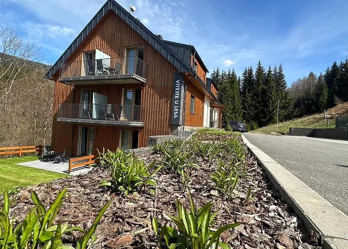 Apartmany U Lesa