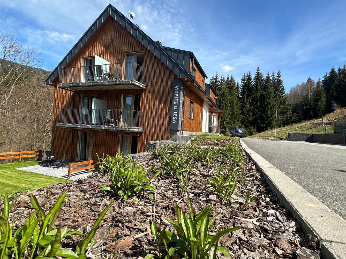 Apartment U Lesa