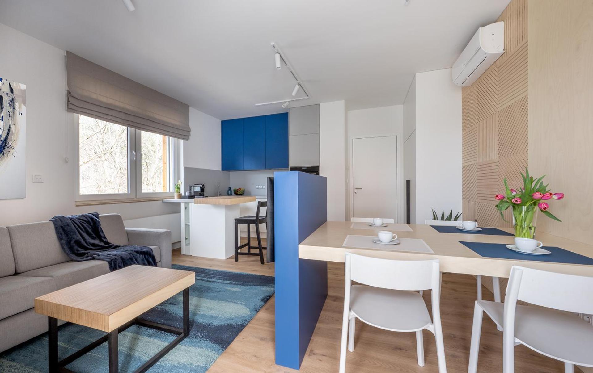 U Lesa Apartment Dolni Morava